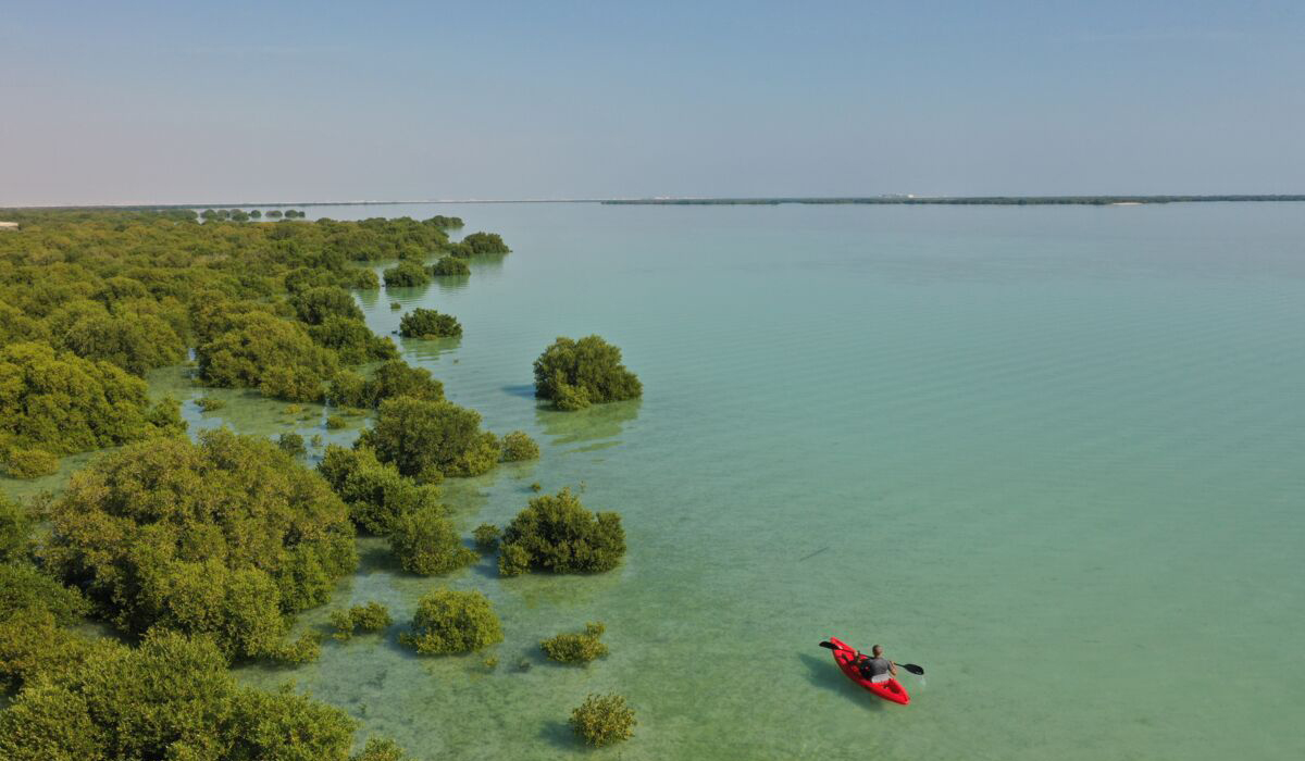 Al-Thakhira Reserve
